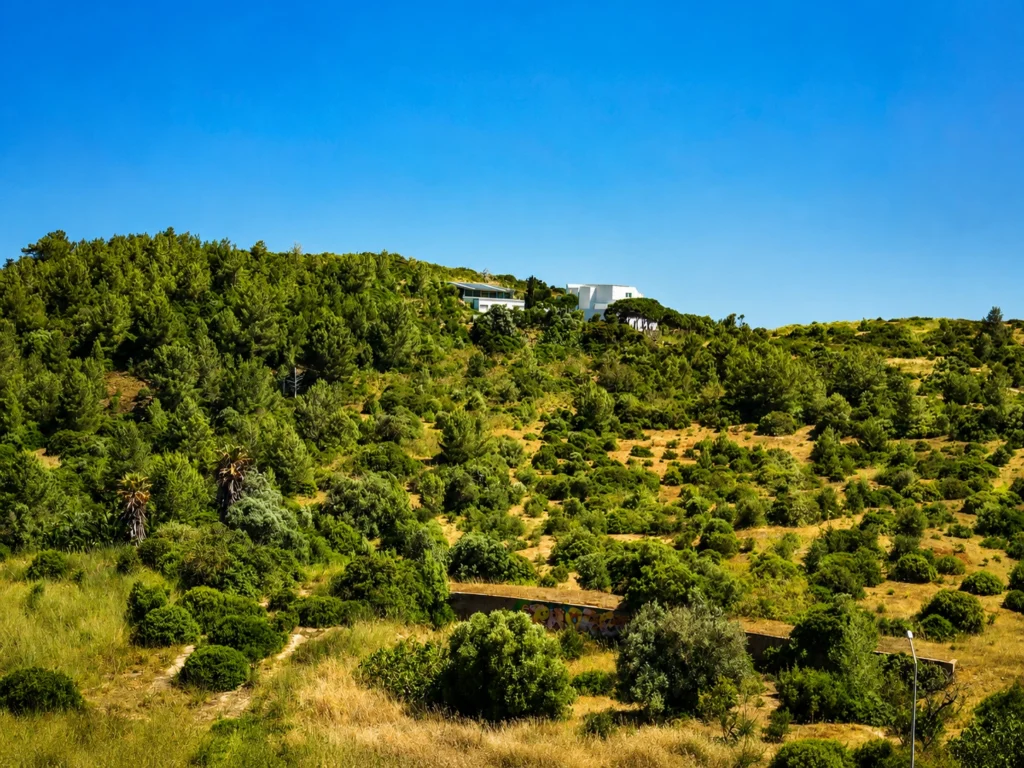 Plot 13