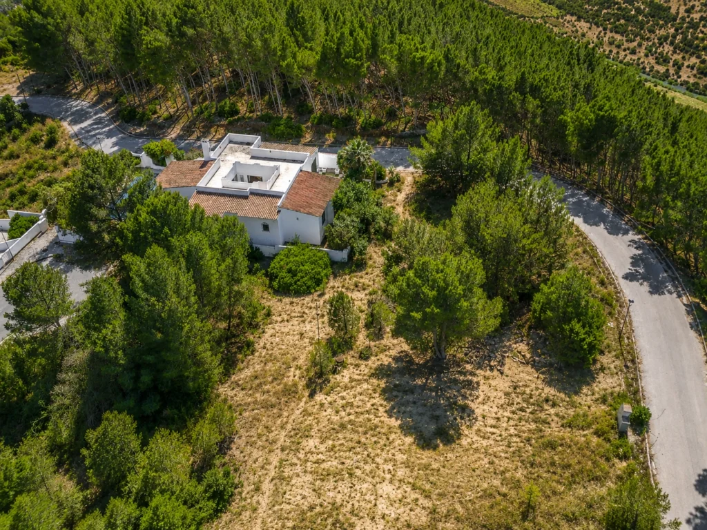 Plot 98