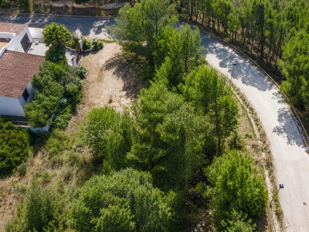 Plot 98